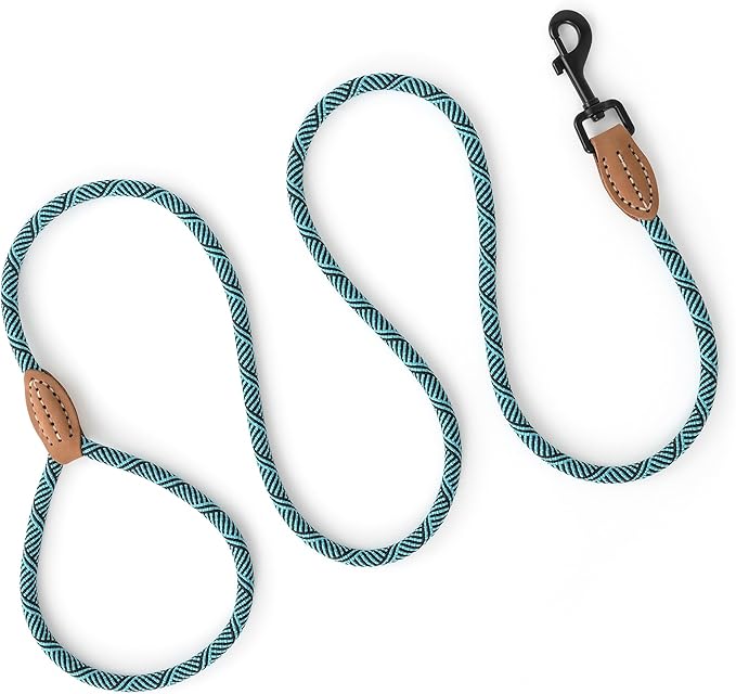 Mile High Life Small Dog Leash, Thin Rope Leash with Genuine Leather Connection and Heavy Duty Metal Clasp, Great for Small Medium Dogs(Turquoise Green, 60 Inch-1/3)