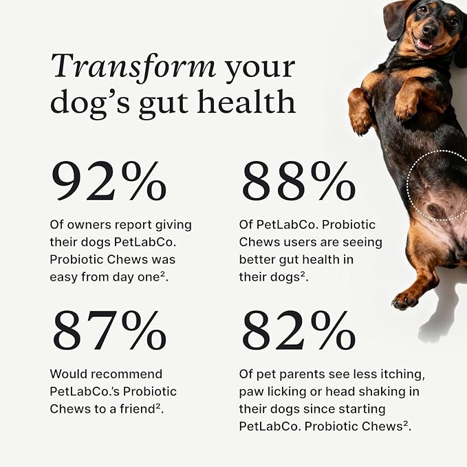 PetLab Co. Probiotics for Dogs, Support Gut Health, Occasional Diarrhea, Digestive Health & Seasonal Allergies - Salmon Flavor - Packaging May Vary - 30 Soft Chews