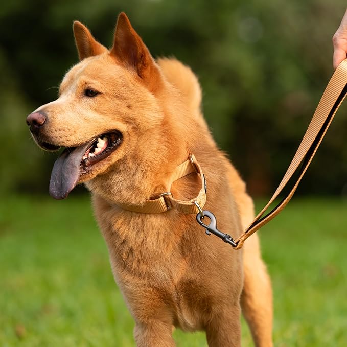 Hyhug Martingale Dog Collar Medium Clay |Escape - Proof Heavy Duty Nylon Durable No Slip, Ideal for Training & Daily Walks