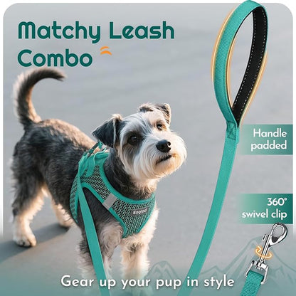 Eagloo Small Dog Harness and Leash Set, Step in Puppy Vest with Breathable Soft Mesh, Walking Reflective Pet Harness for Small Dogs, Forest Green, M