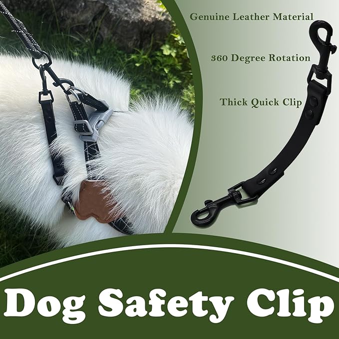 Dog Safety Clip for Prong Collar, Waterproof Leash Backup Clip Connector, Dual Clasps Rotating Buckle for Pinch Collar (1 Pcs)