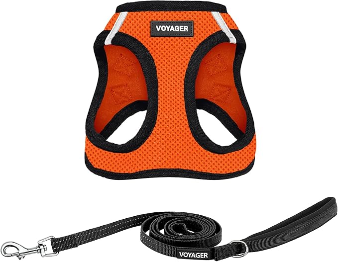 Best Pet Supplies Voyager Step-in Air All Weather Mesh Harness and Reflective Dog 5ft Leash Combo with Neoprene Handle, for Small, Medium and Large Breed Puppies - Set (Orange/Black Trim), X-Small