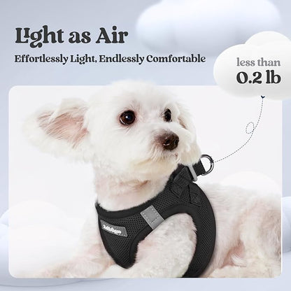 rabbitgoo Dog Harness Small Sized and Leash Set, Step in Soft Light Puppy Vest, Breathable Mesh Pet Harness, Reflective for Outdoor Safe Walking, Black XXXS