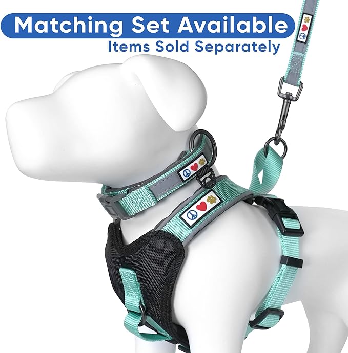 Pawtitas Teal Dog Leash 6 ft Custom ID Lead for Dogs & Puppies Reflective Comfortable Padded Handle Embroidered Name & Phone Number