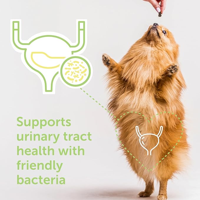 Flo Dog Cranberry Supplement for Dogs by Veterinarian Recommended Solutions - Bladder Control for Dogs - Urinary Tract Support - Cranberry Chews - Immune & Gut Support