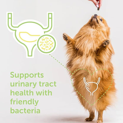 Flo Dog Cranberry Supplement for Dogs by Veterinarian Recommended Solutions - Bladder Control for Dogs - Urinary Tract Support - Cranberry Chews - Immune & Gut Support