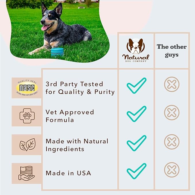 Natural Dog Company 25-in-1 Multivitamin for Dogs – Vet-Formulated Soft Chews for Puppies, Adults & Seniors, Supports Joints, Skin, Coat, Immune & Heart Health, NASC Certified, 90 Count
