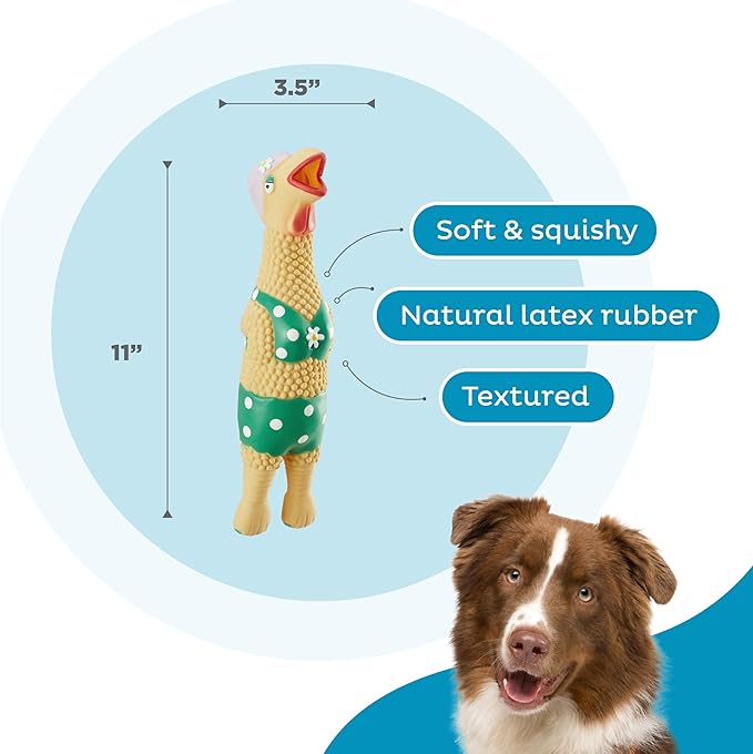 Outward Hound by Charming Pet Squawkers Grandma Hippie Chick Latex Squeaky Rubber Chicken Dog Toy, Funny Interactive Holiday Toy for Dogs, Large Size