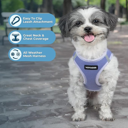 Best Pet Supplies Voyager Step-in Air Harness - All Weather Mesh, Reflective, No Pull Harness for Dogs, Cats - Secure with Hook & Loop Fastener, Buckle, Double D-Rings - Lavender, L