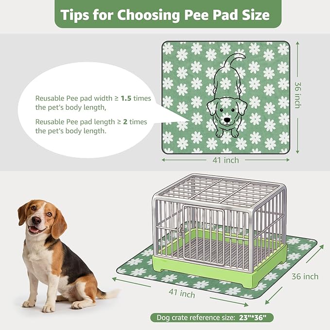 LOOBANI Washable Puppy Pads: Waterproof Reusable Pee Pads for Dogs, Non-Slip and Leak-Proof Dog Pee Mat, Absorbent Dog Training Pads for Puppy Playpen, Crate, Potty Training (36"x41", 2 Packs)