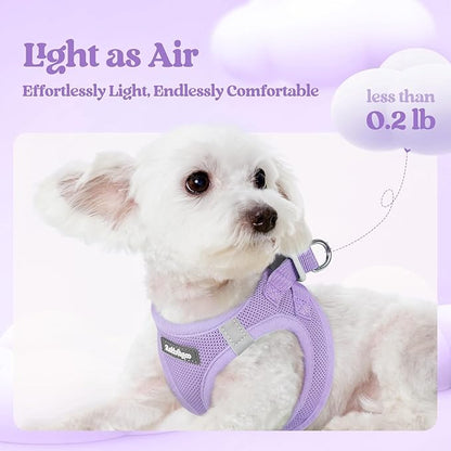rabbitgoo Dog Harness Small Sized and Leash Set, Step in Soft Light Puppy Vest, Breathable Mesh Pet Harness, Reflective for Safe Easy Walking, Light Purple XS