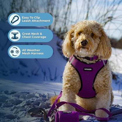 Best Pet Supplies Voyager Step-in Air All Weather Mesh Harness and Reflective Dog 5ft Leash Combo with Neoprene Handle, for Small, Medium and Large Breed Puppies - Set (Purple/Black Trim), XX-Small