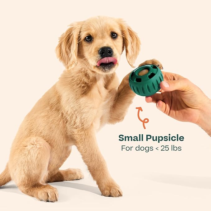 WOOF Pupsicle - Long-Lasting Interactive Dog Ball Toy to Keep Your Pup Busy and Distracted - Safe for Dogs - Low-Mess Design - Dog Toys for Small Dogs 10-25 lbs