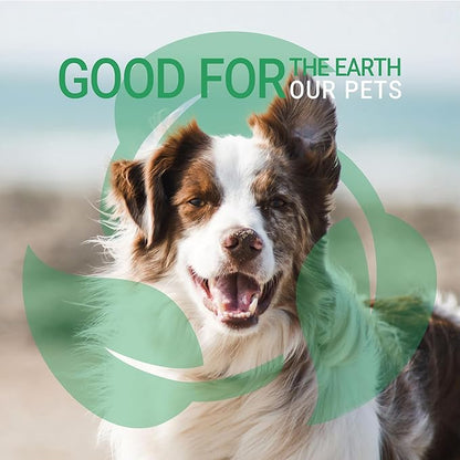 Green Groom Argan Oil Dog Shampoo, 1 Gallon - Vitamin E and Antioxidant Rich, Restores Shine, Moisturizing, Natural Ingredients, Helps Relieve Dry Itchy Skin, Adds Moisture to the Coat