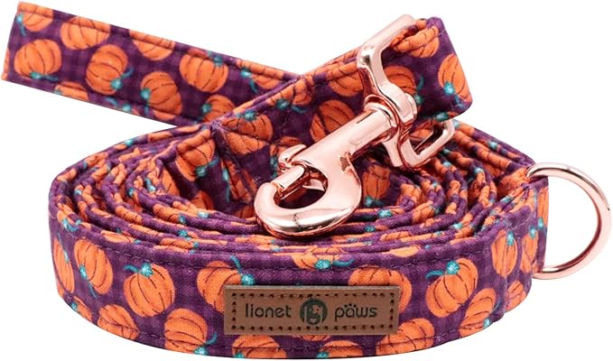 Lionet Paws Dog Leash,Handmade Dog Training Leash Pet Supply