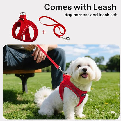 PetiFine Step in Small Dog Harness and Leash Set, Breathable All Weather Air Mesh Reflective Escape Proof, Step-in Vest Harnesses for Puppy(S, Red)