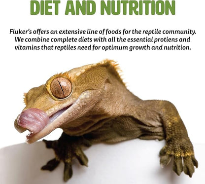 Fluker's Freeze Dried River Shrimp, Nutrient-Packed, Ideal for Lizards, Reptiles, Birds, Fish, Hedgehogs, 1 Oz