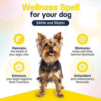 Liver Health Supplement for Small Dogs - Milk Thistle for Dogs Liver Support with S-Adenosylmethionine (Same) & Silybin - 30 Tablets