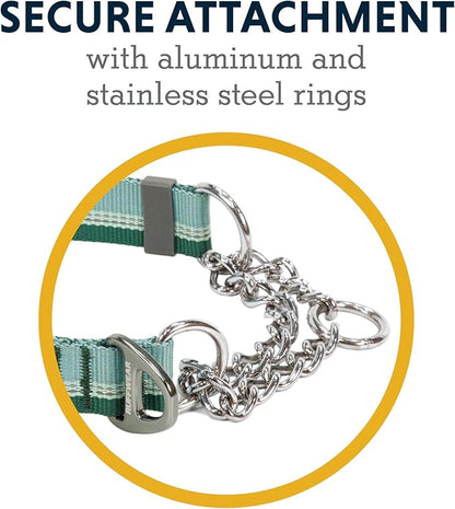 Ruffwear, Chain Reaction Dog Collar, Adjustable Reflective Martingale Escape-Proof Collar with Stainless Steel Chain, Professional Training Control, River Rock Green, 14"-20"