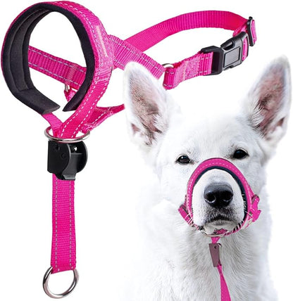 GoodBoy Dog Head Halter with Safety Strap - Stops Heavy Pulling On The Leash - Padded Headcollar for Small Medium and Large Dog Sizes - Head Collar Training Guide Included (Size 1, Pink Nylon)