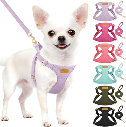 SlowTon Dog Harness Small Sized Dog - Soft XXS Dog Harness and Leash Set No Pull No Chock, Adjustable Lightweight Puppy Harness for XS Small Medium Dogs Cats (Solid Purple, S)