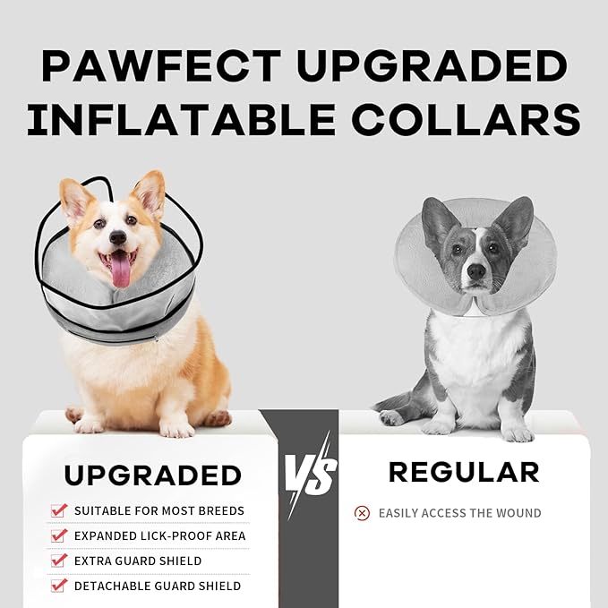 Inflatable Surgery Collar for Dogs-Enhanced Anti-Licking Protective Cone with Adjustable Strap (Grey, XL)
