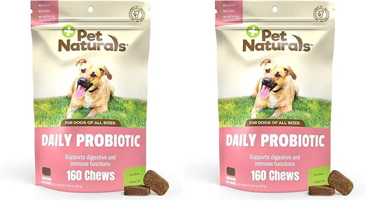 Pet Naturals Daily Probiotic for Dogs,Duck Flavor,160 Chews - 120M CFUs Pre and Probiotics for Dogs Digestive Health,Gut Health,Immune Support,Diarrhea,Allergies and Itching,(Pack of 2)