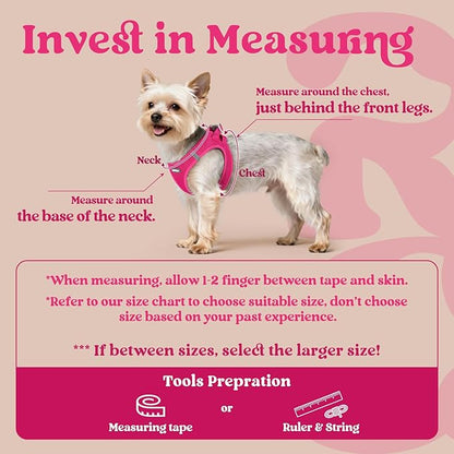 rabbitgoo Small Dog Harness, Step-in Soft Mesh Puppy Vest with Safety Buckle, Breathable Reflective Pet Harness for Extra Small Dogs, Rose Red XXXS