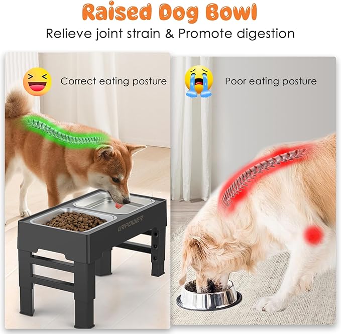 URPOWER Raised Dog Bowls 4 Height Adjustable Elevated Bowl Stand with Stainless Steel Water Bowl Non-Slip Dog Food Bowls Stand for Small Medium Large Dogs and Pets