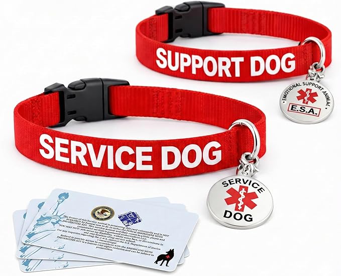 Service Dog Collar & Emotional Support Animal (ESA) Collar with Metal ID Tag + 3 Information Cards – Adjustable Heavy-Duty Nylon | ALL ACCESS CANINE