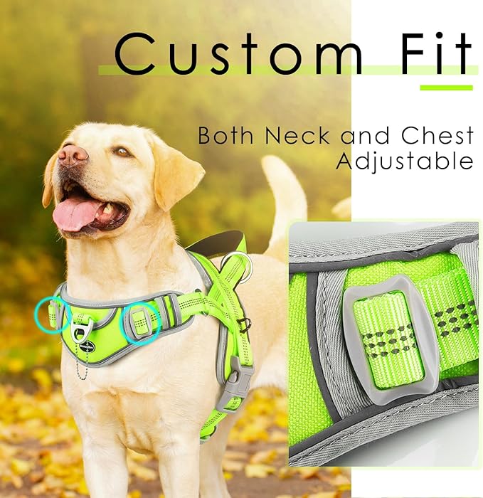 ADVENTUREMORE Medium Dog Harness - No Pull, Adjustable Reflective Vest with Front Clip Handle for Training & Walking - M Green