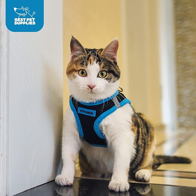 Best Pet Supplies - All Weather Mesh/Plush, Reflective, No Pull Harness for Small, Medium Dogs, Cats - Secure with Hook & Loop Fastener, Buckle, Double D-Rings - Black/Blue Trim, XS