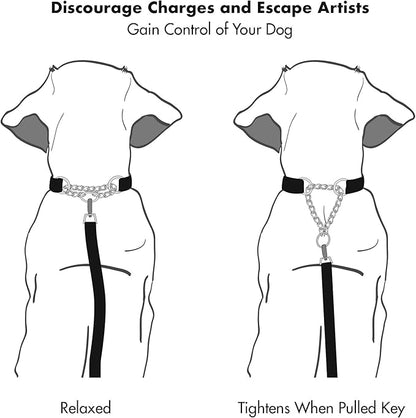 Friends Forever Martingale Collars for Dogs, Reflective No Pull Dog Collar for Training Large/Medium Breed Dogs, Medium