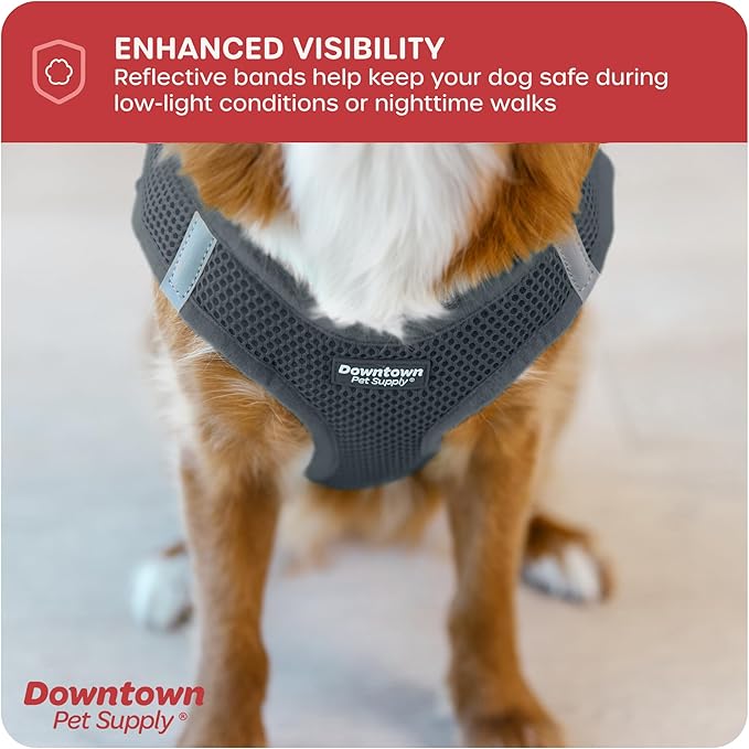 Downtown Pet Supply Step in Dog Harness for Small Dogs No Pull, X-Small, Titanium - Adjustable Harness with Padded Mesh Fabric and Reflective Trim - Buckle Strap Harness for Dogs