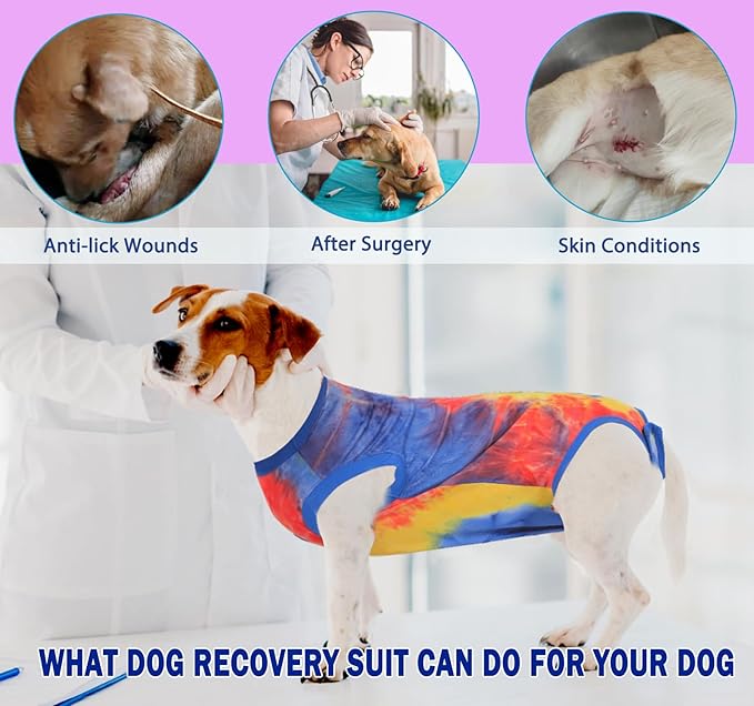 Dog Surgery Recovery Suit - Female Spay & Male Neuter Onesie, Cone Alternative Pet Surgical Shirt (Tie-dye Blue, XS)