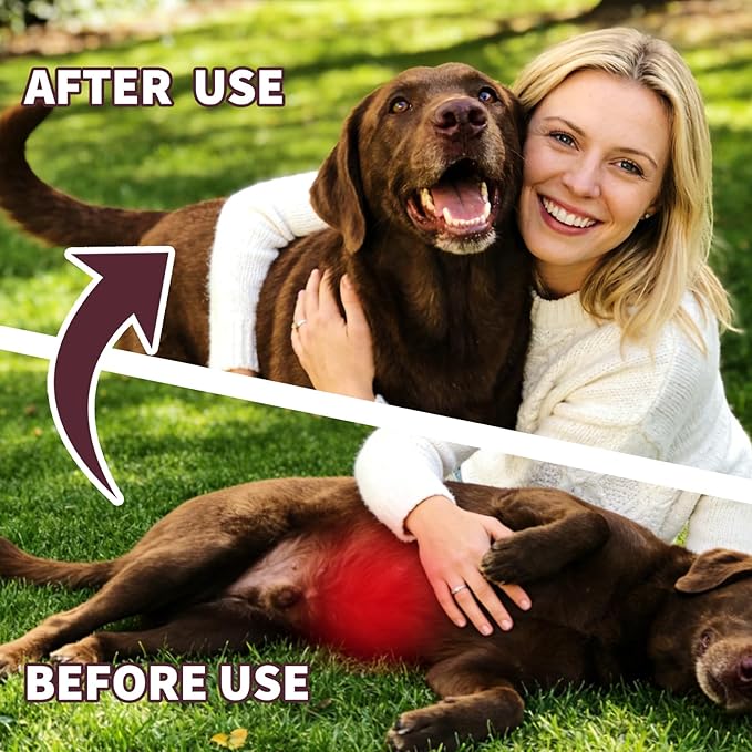 Dog Dewormer for Dogs & Puppies, Fenbendazole All Wormers Tablets for Tapeworms, Roundworms, Hookworms & Whipworms, 48 Count