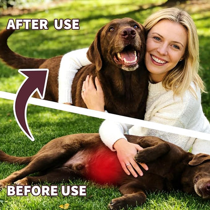 Dog Dewormer for Dogs & Puppies, Fenbendazole All Wormers Tablets for Tapeworms, Roundworms, Hookworms & Whipworms, 48 Count