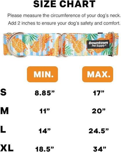 Downtown Pet Supply - Martingale Collar for Dogs - Dog Training Collar - Big, Wide & Thick Dog Collar - Escape-Proof, Weatherproof, Durable and Comfortable - Pineapple - Medium Dog Collar