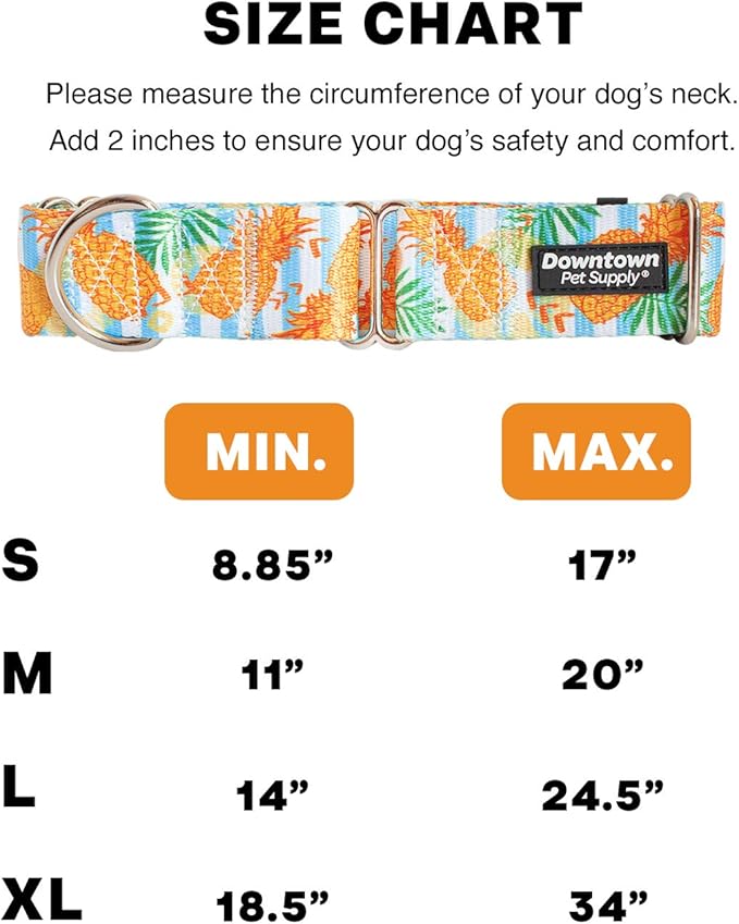 Downtown Pet Supply - Martingale Collar for Dogs - Dog Training Collar - Big, Wide & Thick Dog Collar - Escape-Proof, Weatherproof, Durable and Comfortable - Pineapple - Large Dog Collar