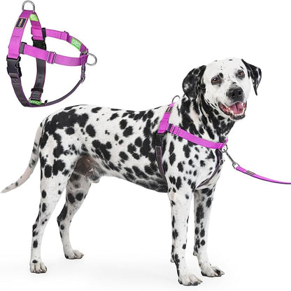 Freedom No Pull Dog Harness for Large Dogs, Easy Walker, Anti Pull with Two Stainless D-Rings, Comfortable, Sewn-in Instructions Tags for Easy Use (Purple, XL)