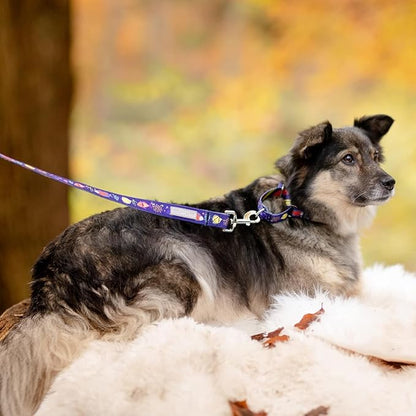 Lucky Love Dog Tropical Fish Pattern Martingale Collar and Leash Set, Blue Color No Slip Collars for Small Dogs, Great for Whippets, Greyhounds, and More (Mackey, Small - Combo)