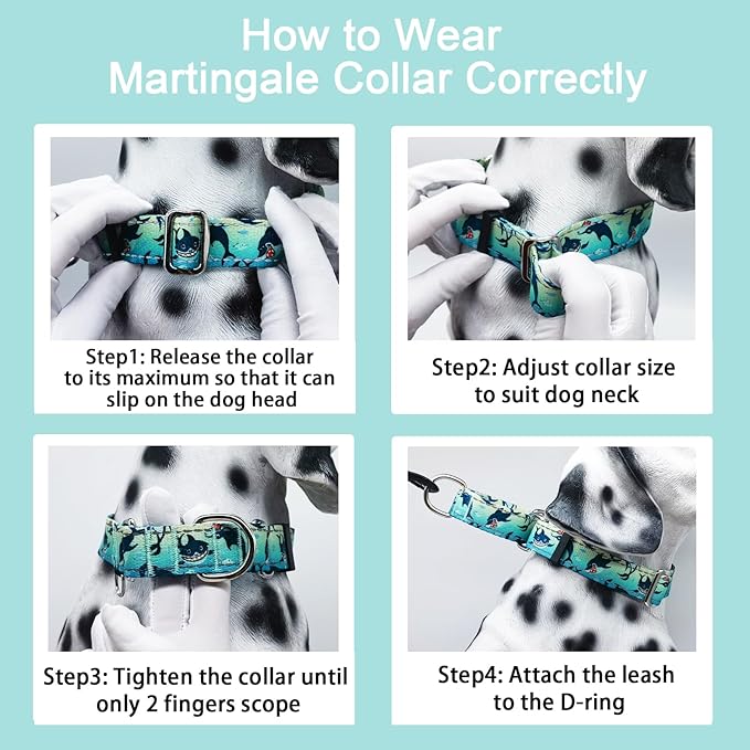 Reflective Martingale Collar for Dogs Nylon Training Collar with No Buckle, No Pull Boy Male Dog Collar for Medium Dogs（Green Shark，M）