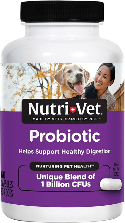 Nutri-Vet Probiotics for Dogs, Dog Probiotics for Digestive Health, Puppy Probiotics, Promotes Healthy Immune System & Gut Health, Vet Formulated, Puppy Supplies, 60 Count Capsules