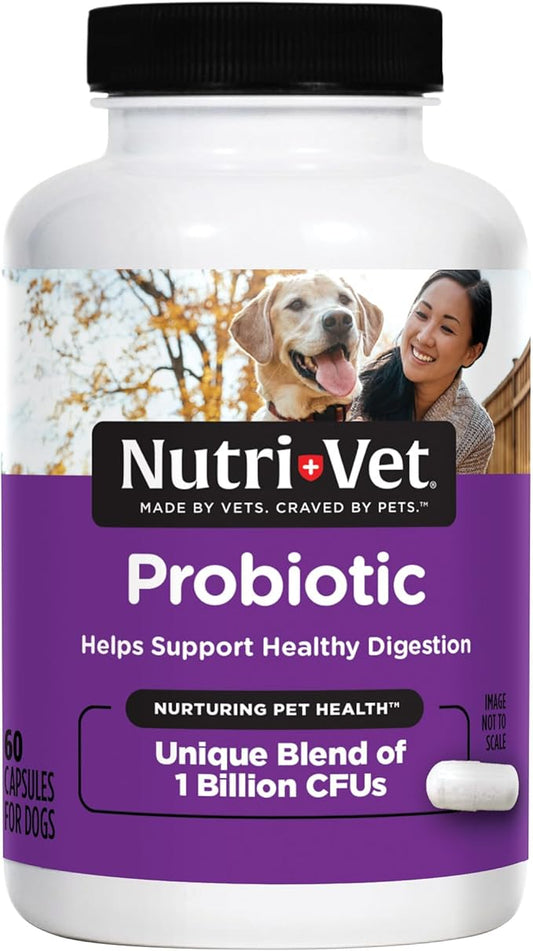 Nutri-Vet Probiotics for Dogs, Dog Probiotics for Digestive Health, Puppy Probiotics, Promotes Healthy Immune System & Gut Health, Vet Formulated, Puppy Supplies, 60 Count Capsules