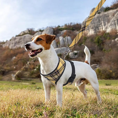 PUPTECK Soft Mesh Dog Harness and Leash Set Pet Puppy Cat Comfort Padded Vest No Pull Harnesses, Yellow, M