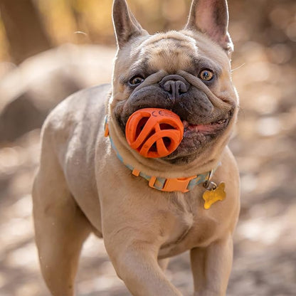 Chuckit! Air Fetch Ball Dog Toy, Medium (2.5 Inch Diameter), for dogs 20-60 lbs, Pack of 2