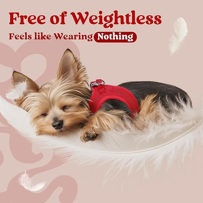 rabbitgoo Small Dog Harness, Step-in Soft Mesh Puppy Vest with Safety Buckle, Breathable Reflective Pet Harness for Extra Small Dogs, Red XXS