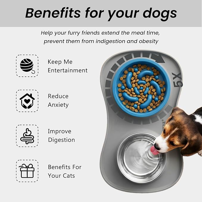 YINEYA Slow Feeder Dog Bowls Stainless Steel Food and Water Bowl Set 3 in 1 No Spill Waterproof Silicone Pet Food Mat Puppy Feeding Station for Large Medium Small Breed Non Slip Metal Dish Tray