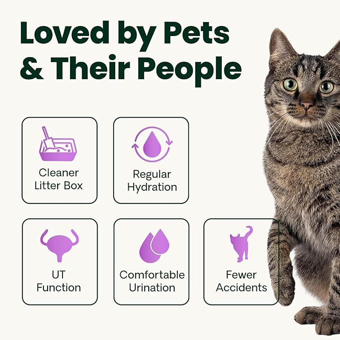 VetriScience UT Health Powder, UT Strength Cranberry D-Mannose Bladder and Urinary Tract Supplement for Cats, Bromelain and Probiotics, Healthy Mineral Balance, Chicken & Cheese, 60 Scoops