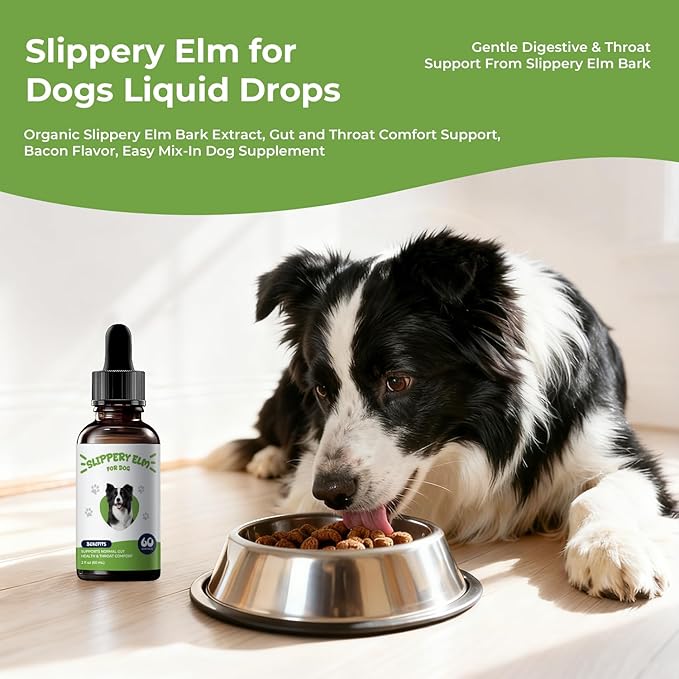 Slippery Elm for Dogs Liquid Drops, Organic Slippery Elm Bark Extract, Gut and Throat Comfort Support, Easy Mix-in Dog Supplement, Bacon Flavor, 2 fl oz